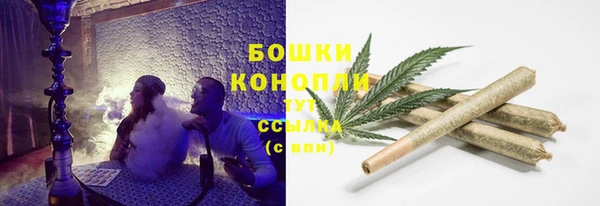 PSILOCYBIN Алексин