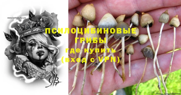 МДПВ Абаза