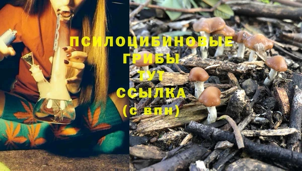 МДПВ Абаза