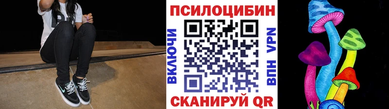 хочу наркоту  Бирюсинск  Псилоцибиновые грибы Cubensis 